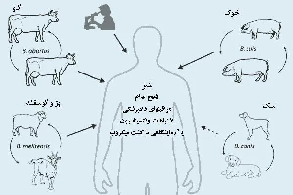 آموزش کارکنان
