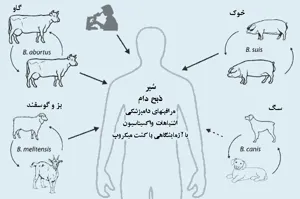 آموزش کارکنان